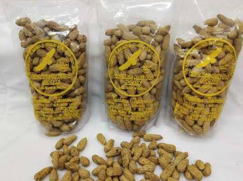Kacang Suriah